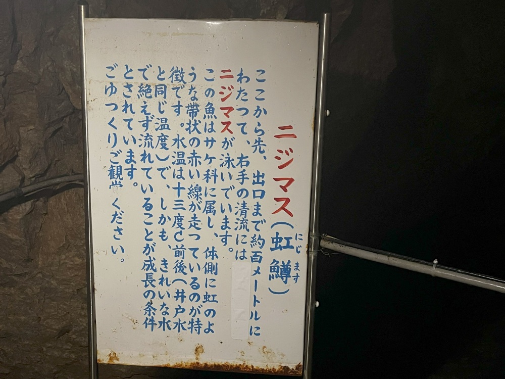 出口の手前、約100mにわたって湧き水の清流が続きます。