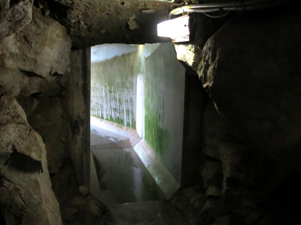 出口が見えた！ 明るさにホッとする一方、現実に引き戻される切なさも感じます。