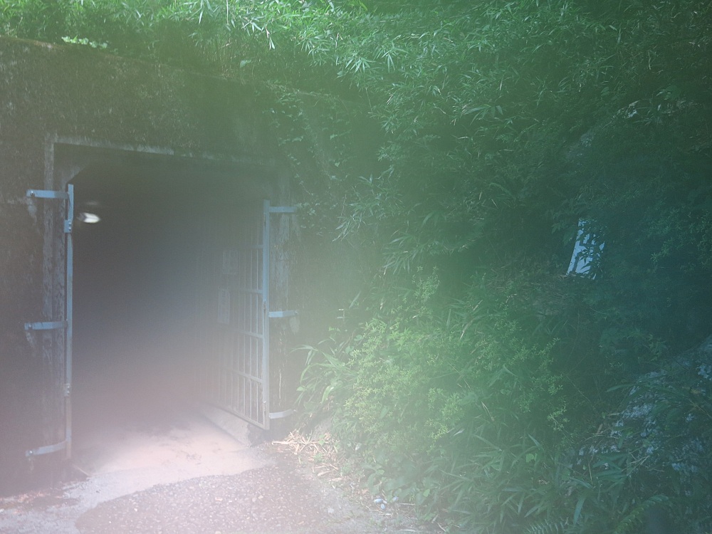 外へ出るとご覧の通り！カメラのレンズが曇ってしまいました。