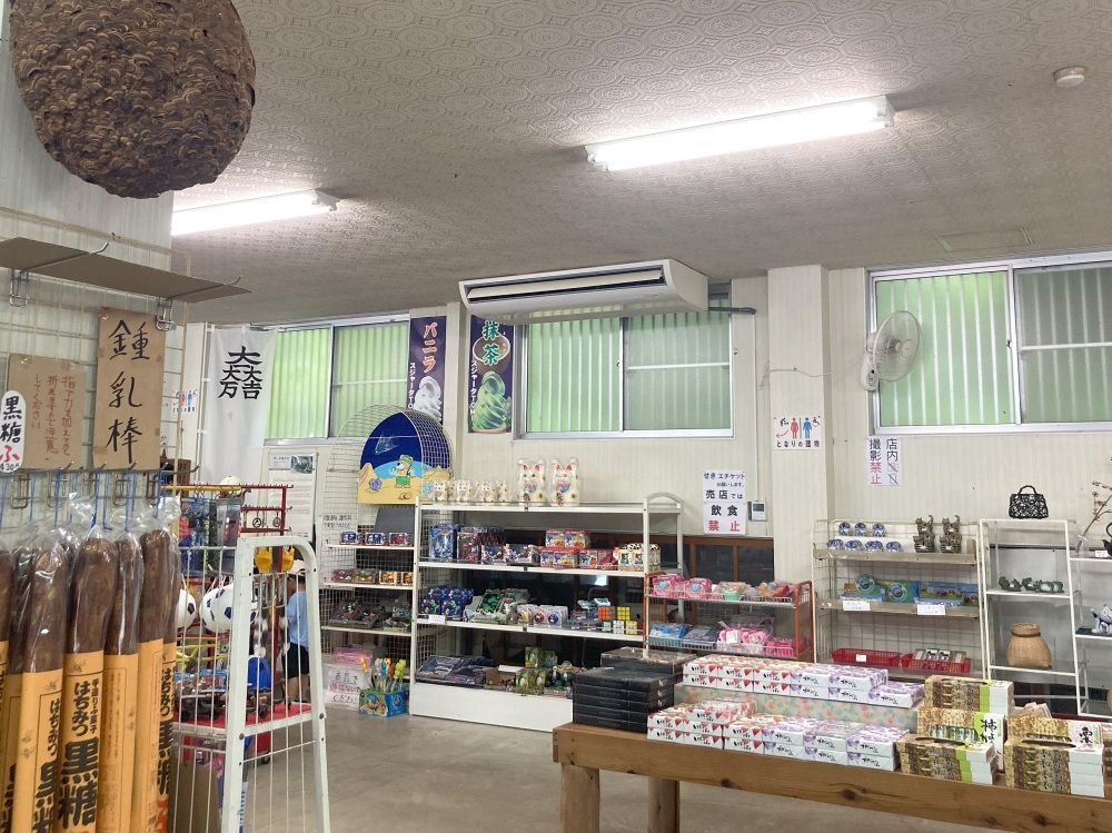 天井近くに飾られた巨大なスズメバチの巣にもご注目！ 巣の中は空っぽです。