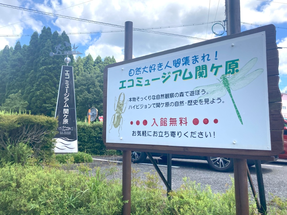 入館は無料で、気軽に立ち寄りやすいのが魅力です。