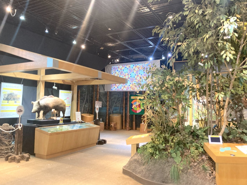 楽しみながら関ケ原の自然を学べる仕掛けがたくさんありました。