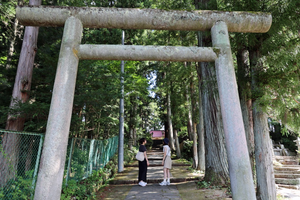 日陰は涼しく、神秘的な雰囲気が。