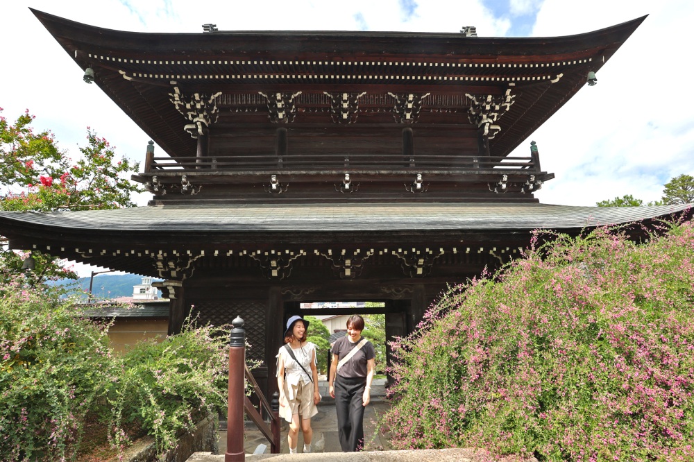 山門を抜けるときれいな花が咲いていました。