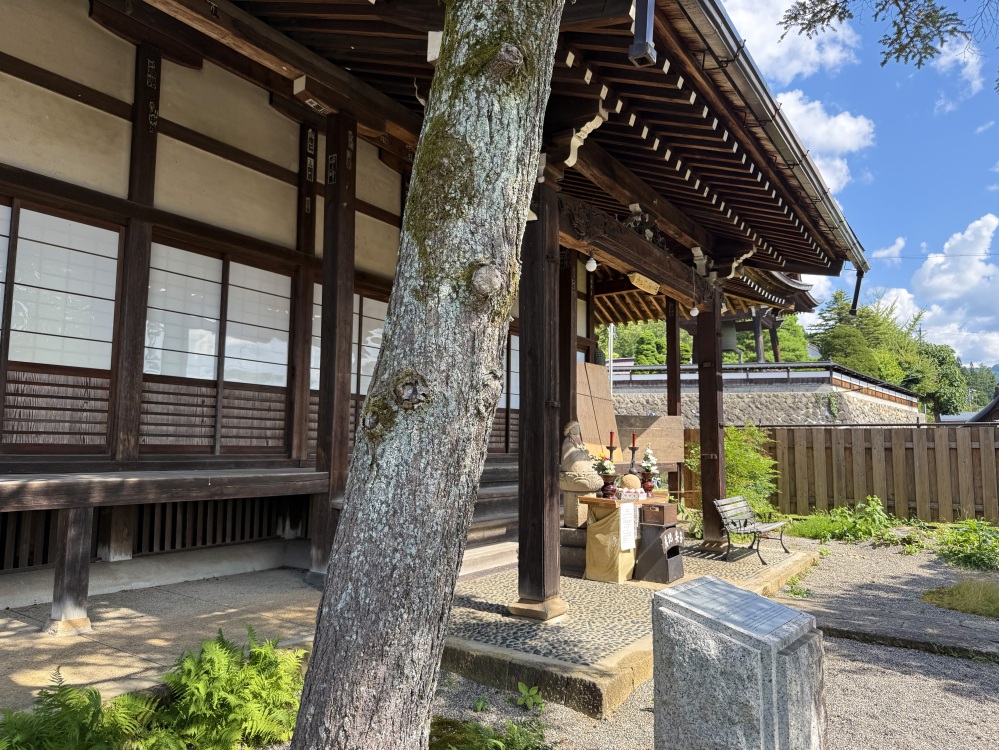 洞雲院の向こうには素玄寺の鐘も見えます。