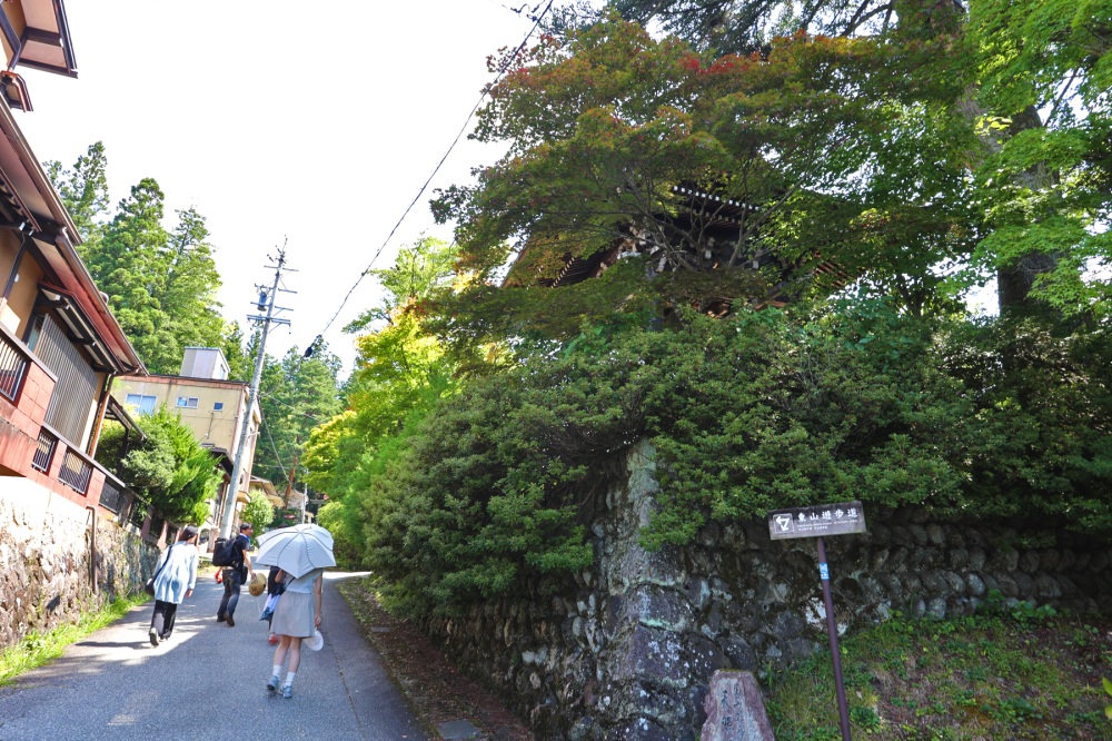 秋になると紅葉がきれいな場所です。