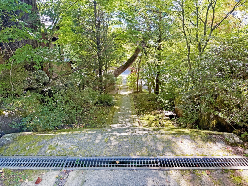 天照寺参道。ここも紅葉がきれいな場所です。