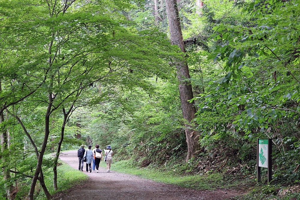 城山公園の散策路を大隆寺に向かって歩きます。