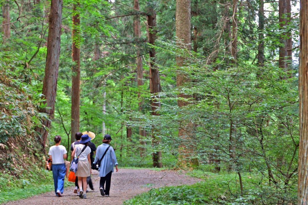 城山公園の散策路を歩きます。