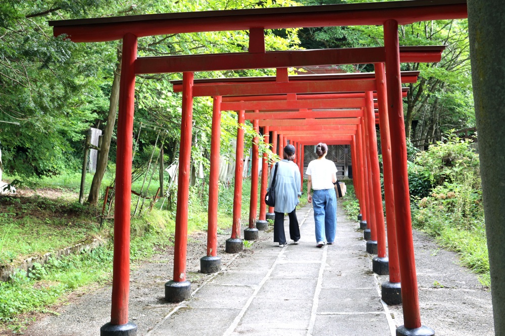 木々の緑と鳥居の朱色が非常にきれいです。