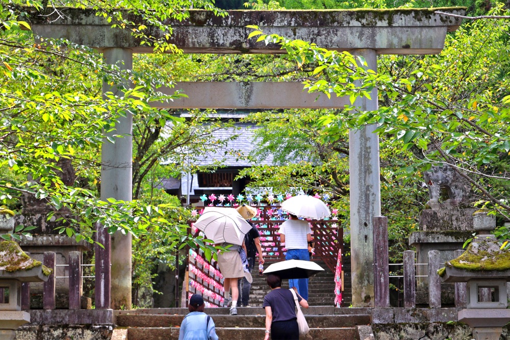 「かざぐるま」祭りが行われていました。