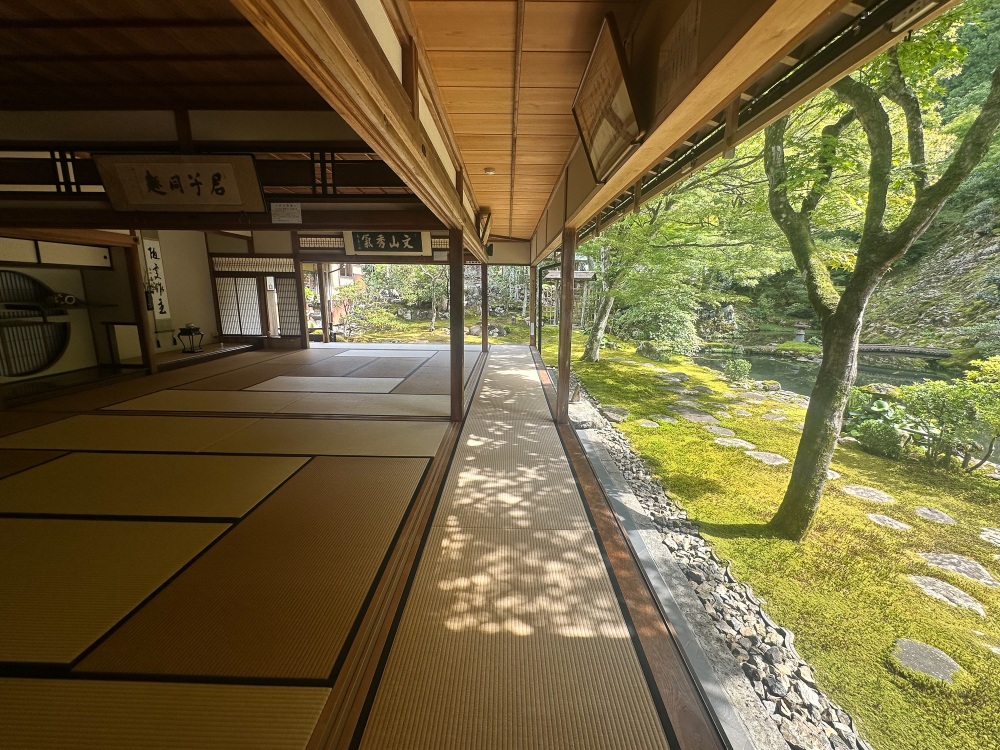 柔らかく入る日差しも美しい