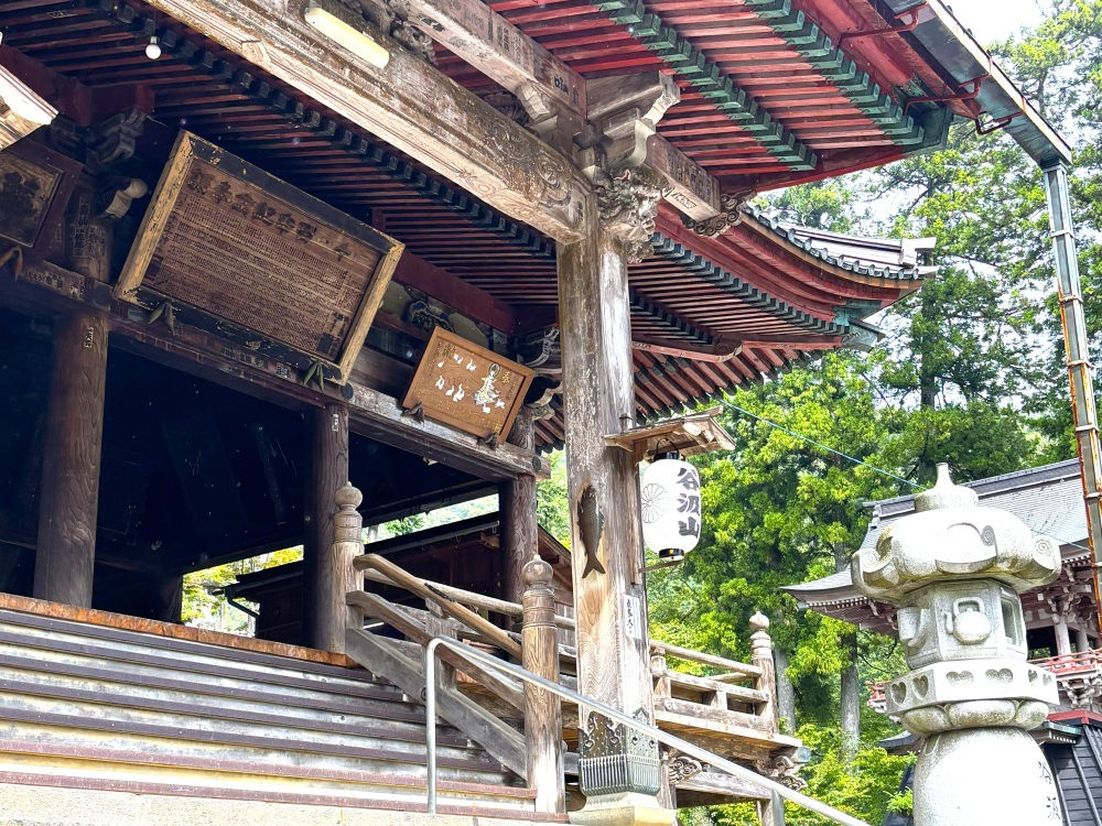 匠の技が結集した美しい軒裏（のきうら）