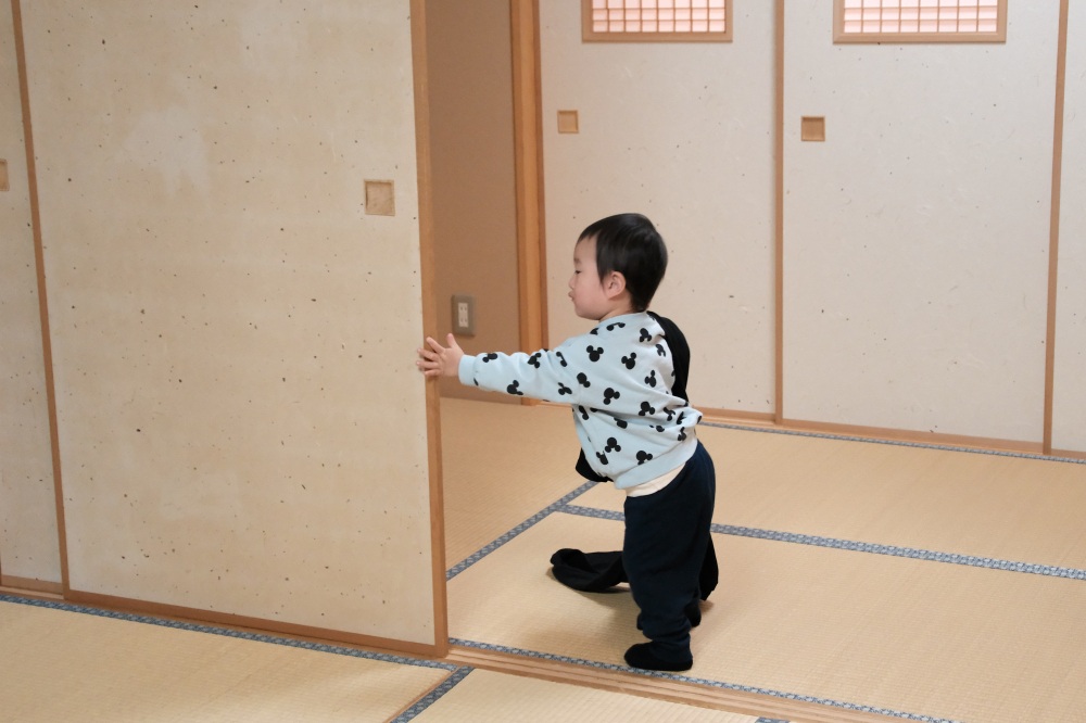 我が子のトレンドは、戸を動かすこと