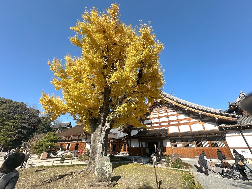 紅葉の名所としても知られる