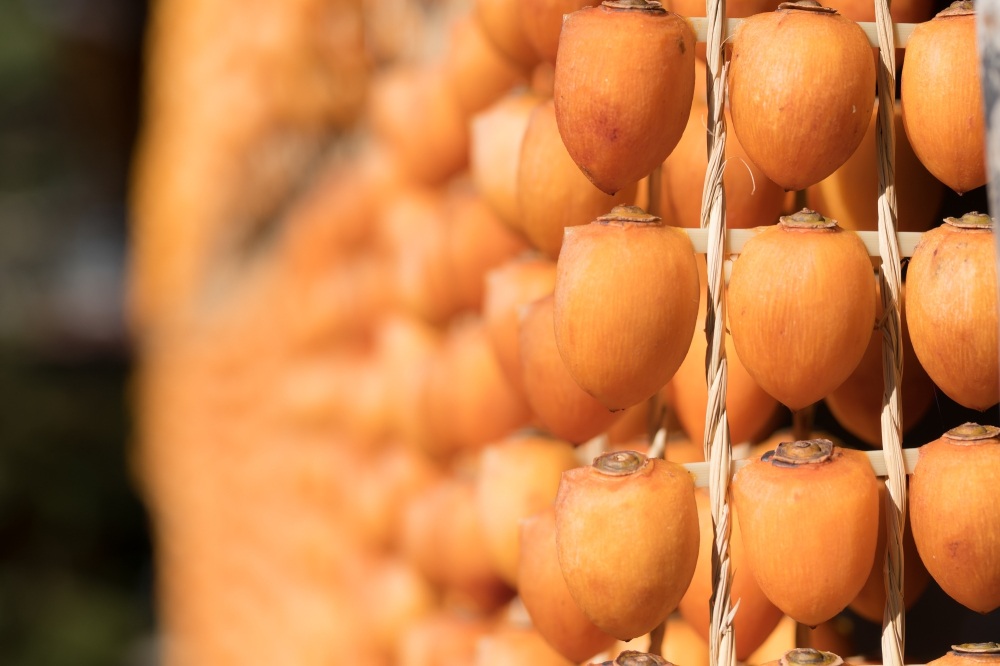 写真提供:柿BUSHI