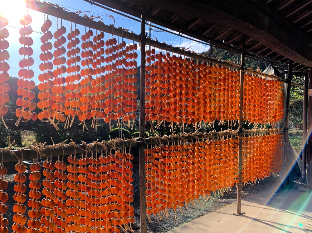 写真提供:柿BUSHI