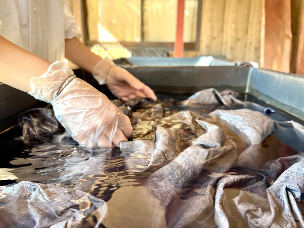 写真提供:柿BUSHI