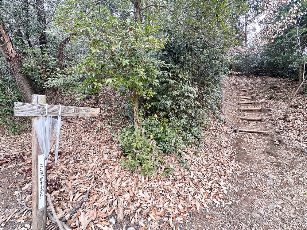 観音寺近くの西口から登ります