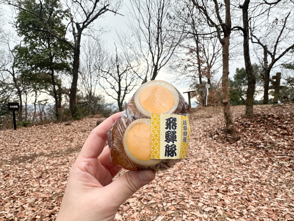 具材の大きい惣菜おにぎり