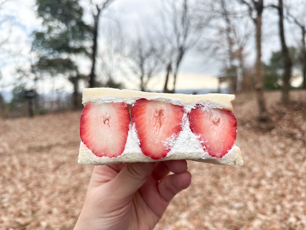 フルーツサンドも