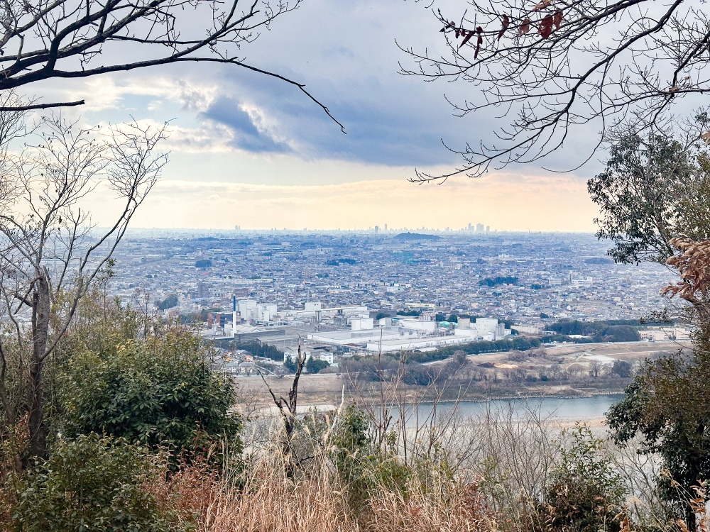 遠くに名古屋のビル群、手前の緑の塊が小牧山城