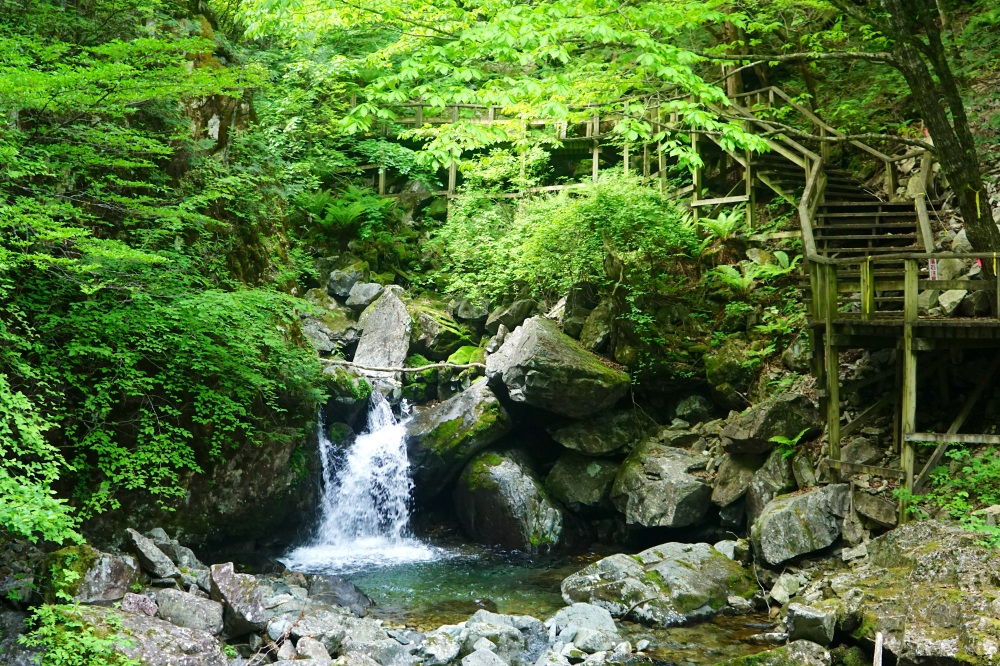 木道から随所で滝を眺められる