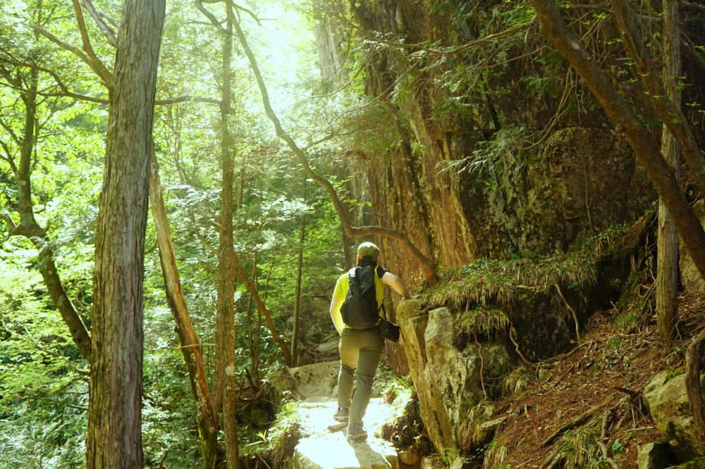 岩と木々が織りなす登山道の中盤