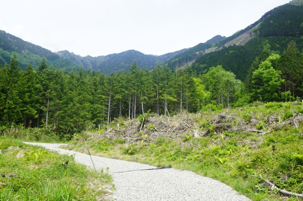 舗装路まで来たら登山口はすぐそこ