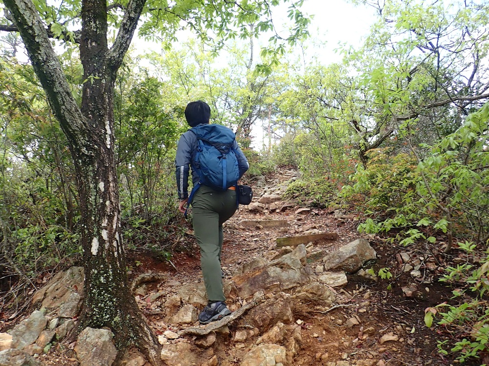 小刻みにアップダウンのある尾根道を進む