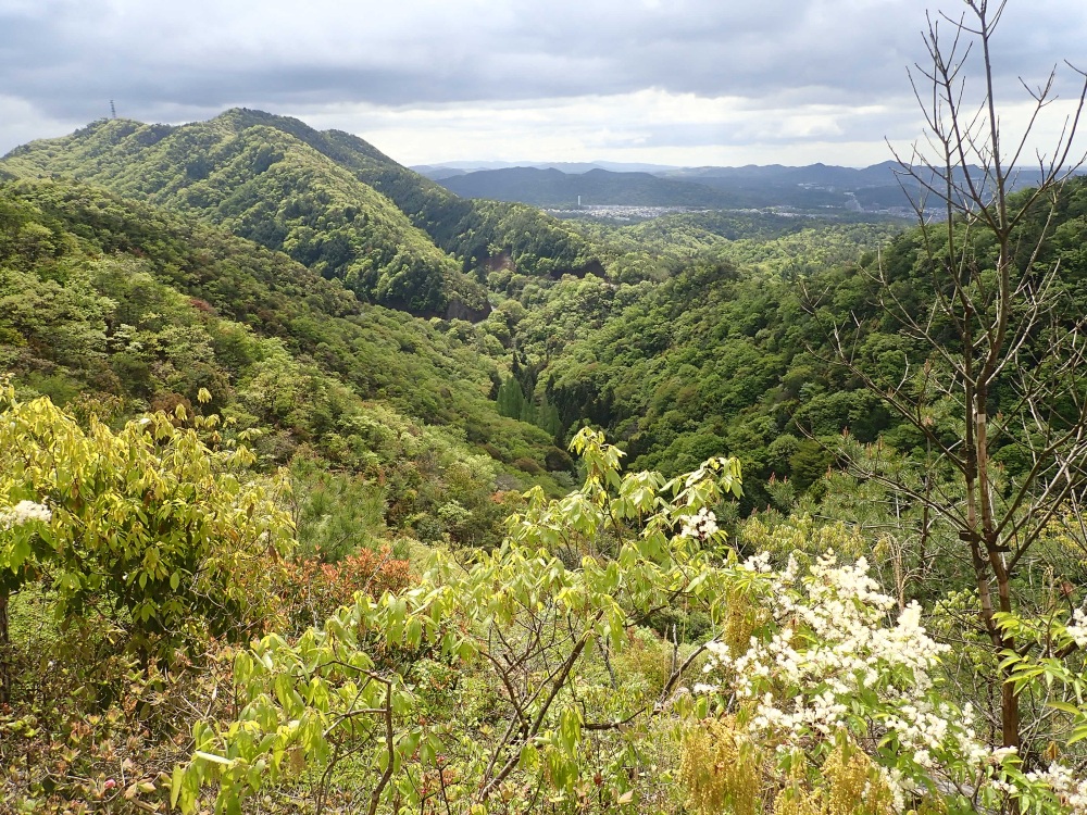 清々しい風を感じ、美しい山肌に魅了される