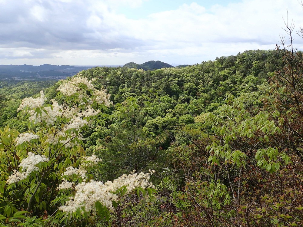 季節の花を愛でながらスケールの大きい尾根道を進む