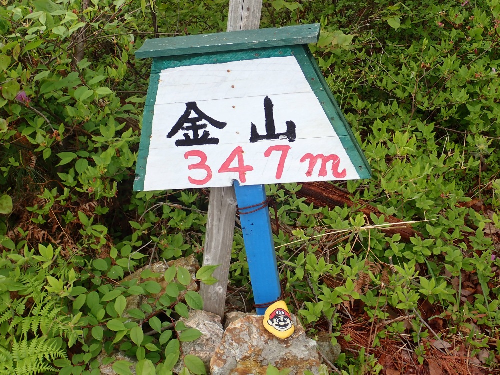 マリオの石が気になる金山