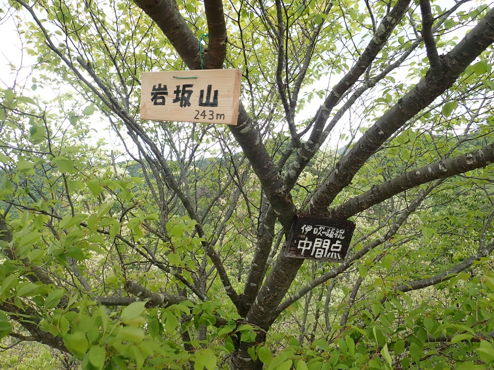 ようやく中間地点に当たる岩坂山へ