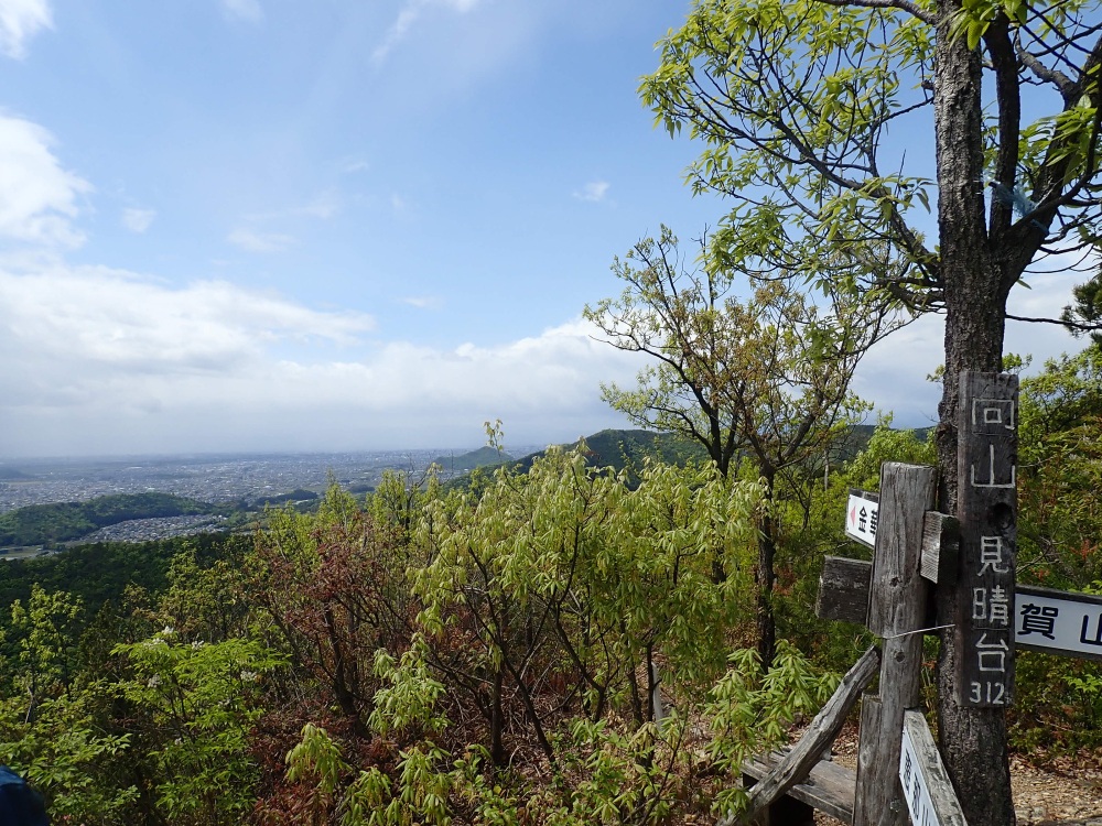 展望台からは清々しいパノラマが広がる