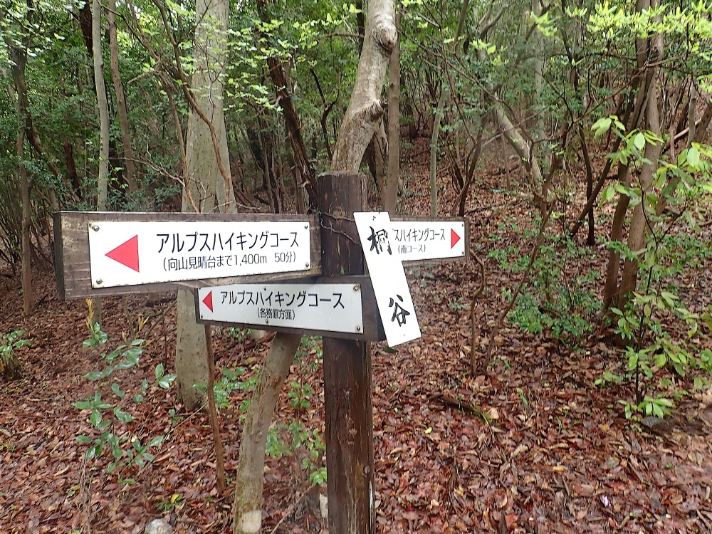 峠に着いたら、もうひと踏ん張りの登り返し