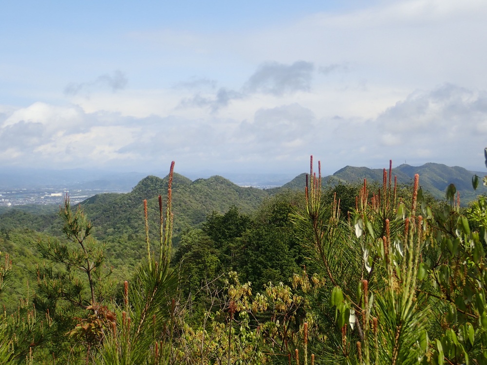 これぞ各務原アルプスと言える稜線美