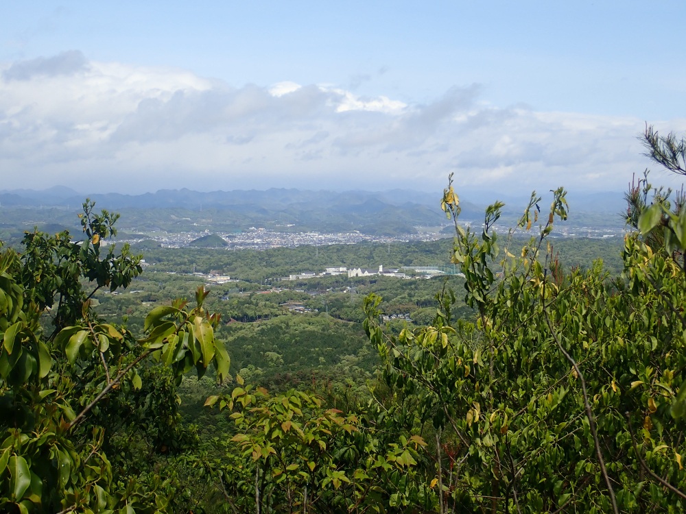 木々のすき間に広がる街の景色