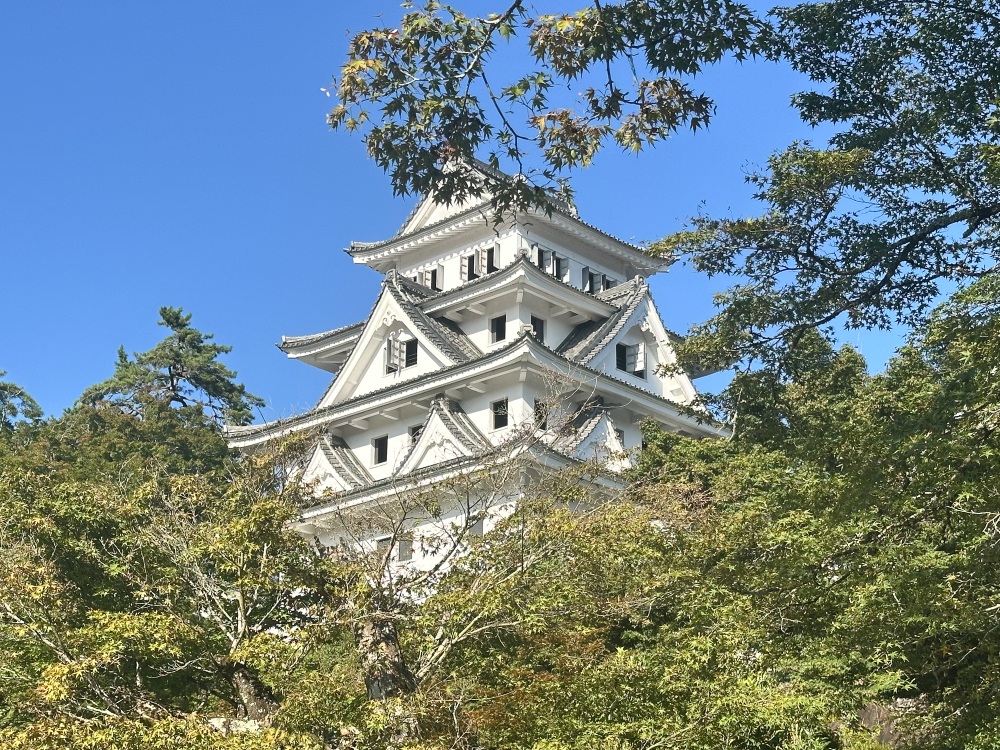 日本最古の木造再建城「郡上八幡城」