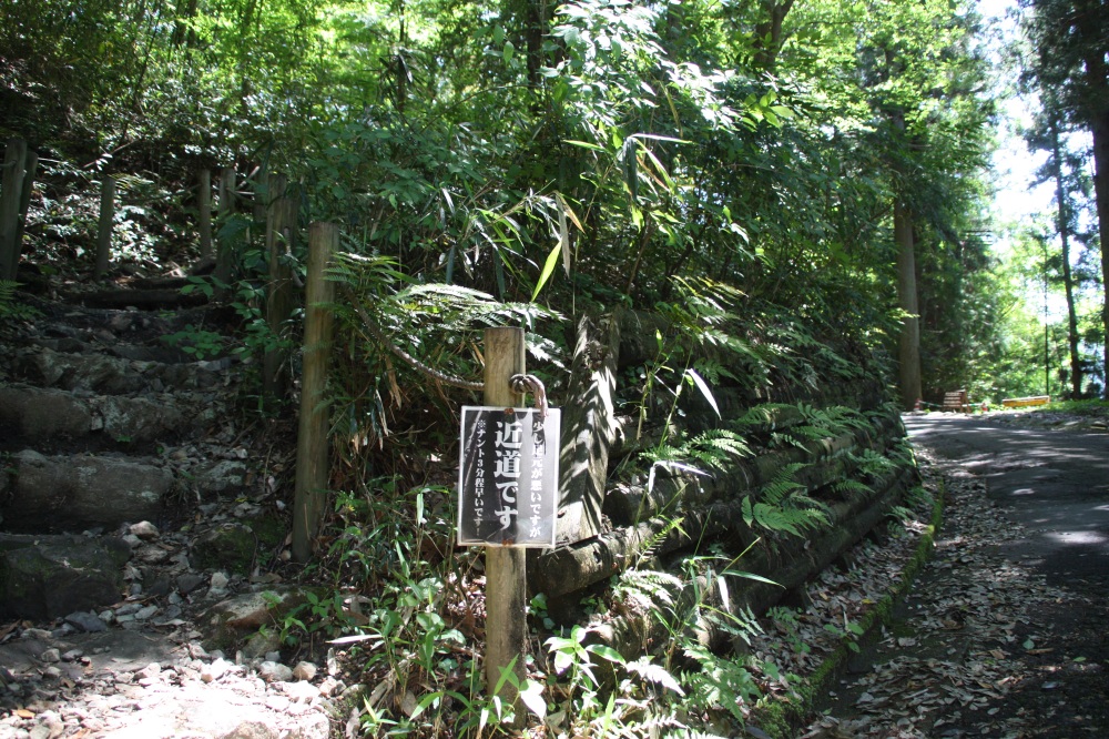 運命の分かれ道!? ムリせず緩やかな舗装道を選びました。