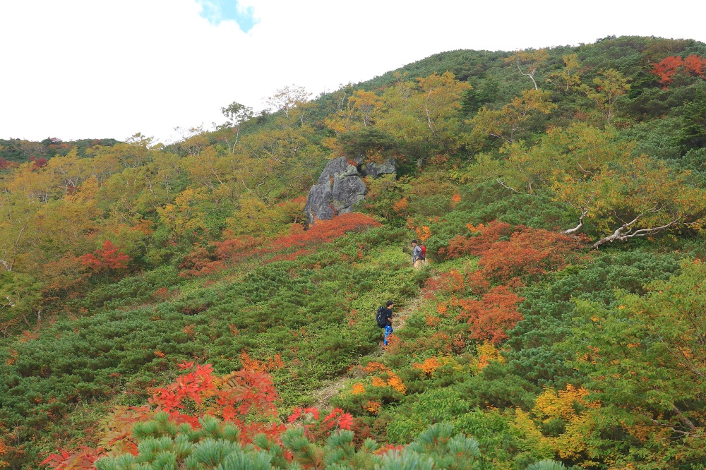 様々な色合いに染まる秋の平湯尾根