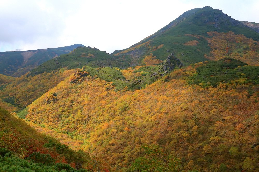 硫黄岳から望む、黄金色に染まった山肌の絶景