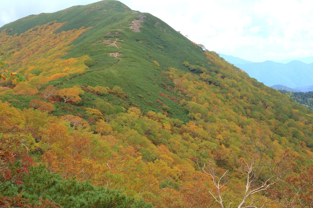 振り返れば、紅葉の衣を纏っているような硫黄岳