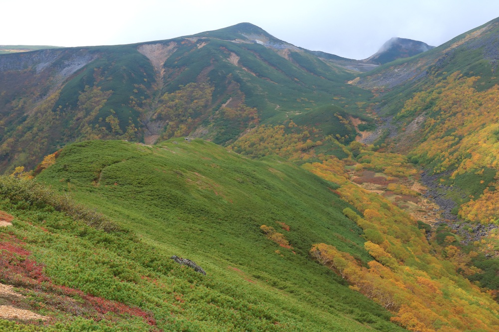森林限界と紅葉が生み出す風景は格別