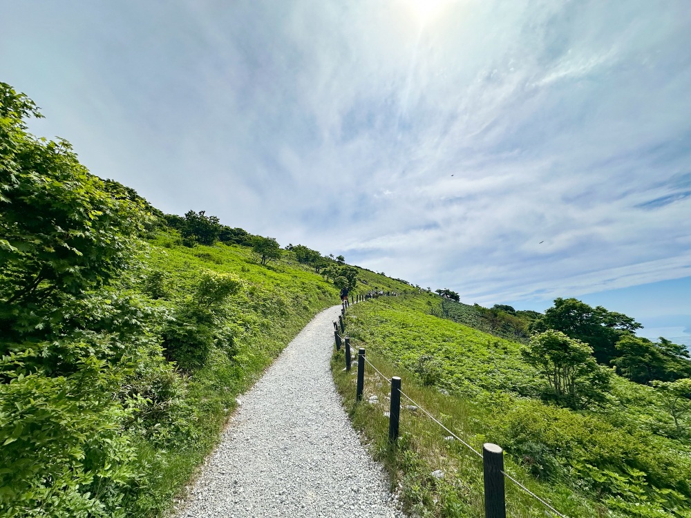 西登山道コースはゆるやかな傾斜が続く