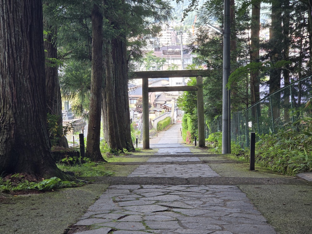 カメラをもって撮影しながらでも楽しめます。