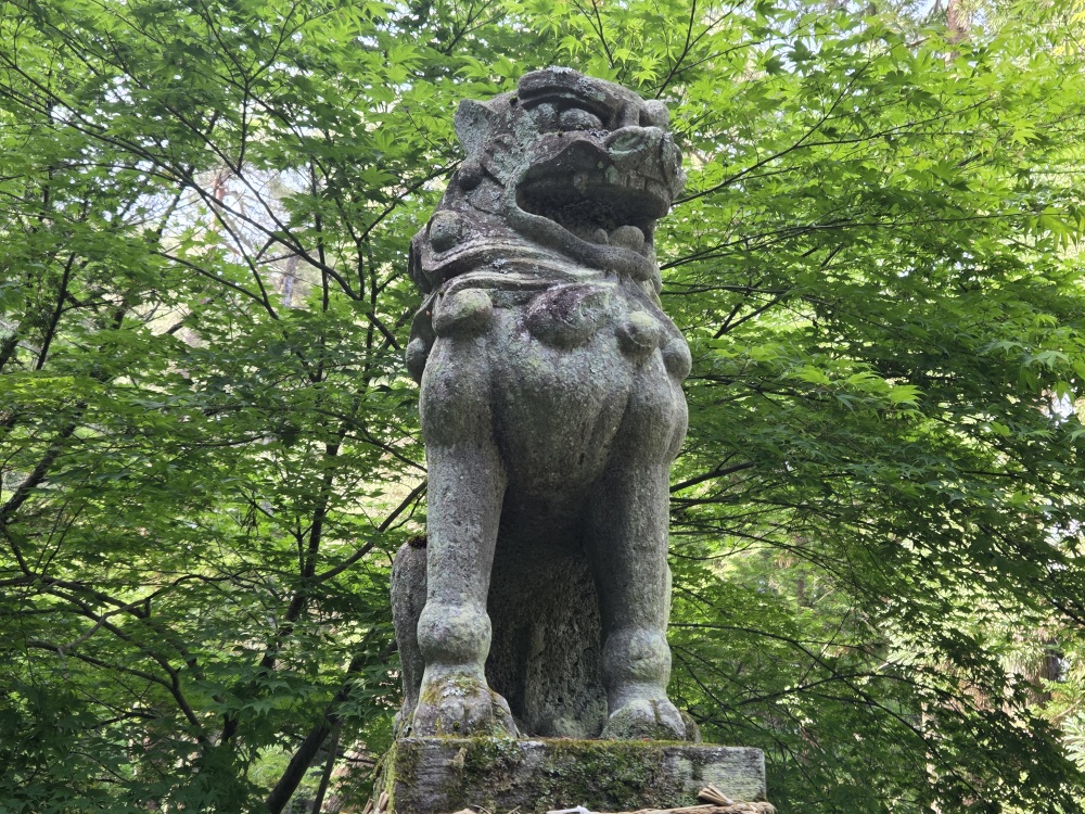「寺院群」ですが、お寺も神社もあります。