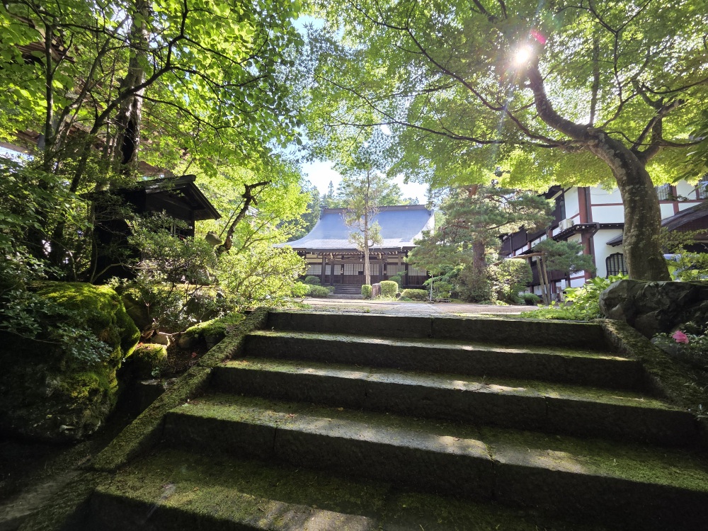 緑に囲まれて、朝の森林浴♪