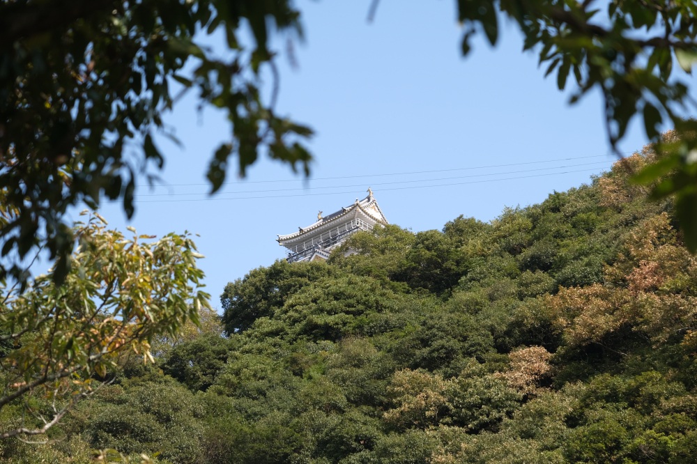 東坂ハイキングコースの後半には天守が見えてくる