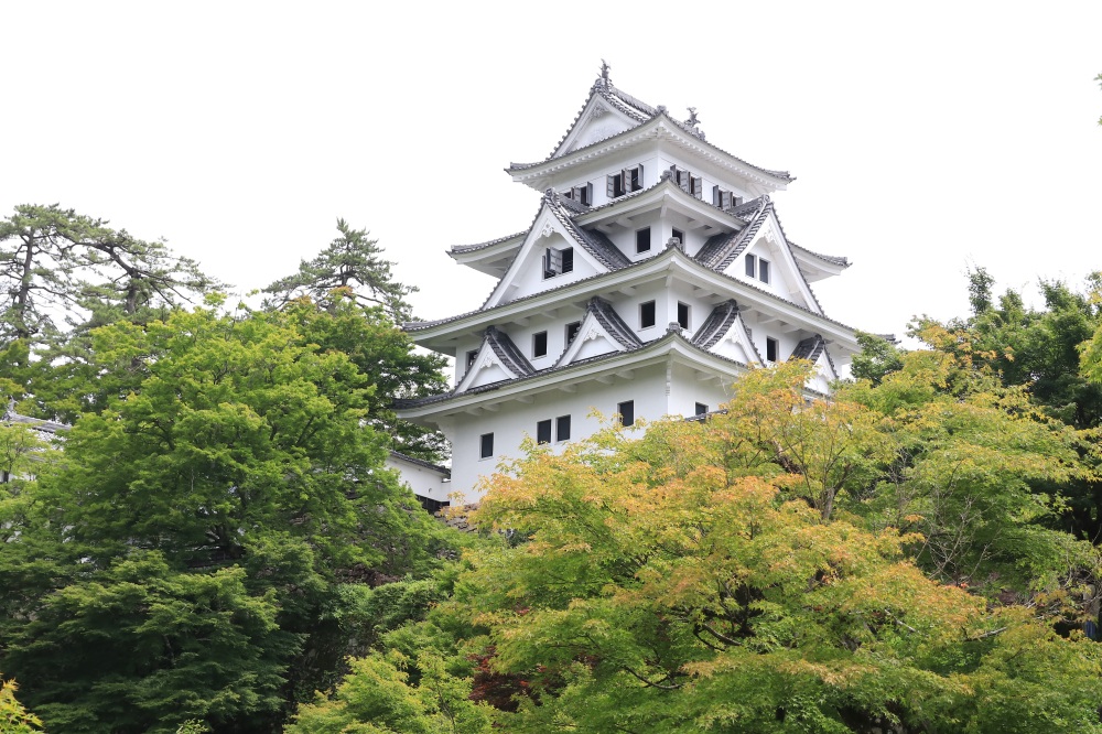 緑に包まれ、風格を感じさせる郡上八幡城の天守閣